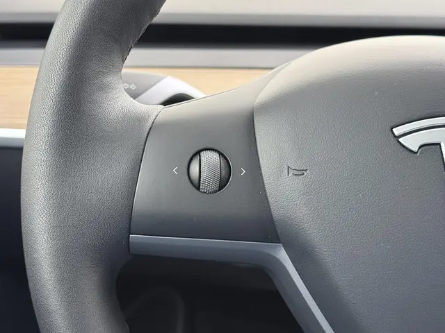 Tesla Model Y Long Range AWD 75 kWh 2022 Elektrisch 26