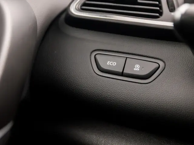 Renault Kadjar 1.2 TCe Intens Sport 2017 Benzine 26