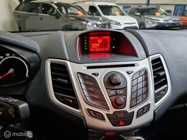 Ford Fiesta 1.25 Titanium Clima Cruis 2012 Benzine 15