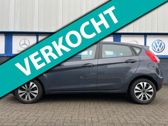 Ford Fiesta 1.0 Champion 5-drs 2013 4995eu 2013 Benzine