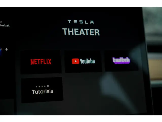 Tesla Model 3 Standard RWD Plus 60 kWh 2019 Elektrisch 27