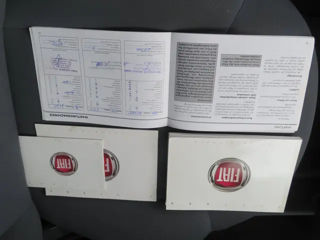 Fiat 500 1.2 Naked 2008 Benzine 21