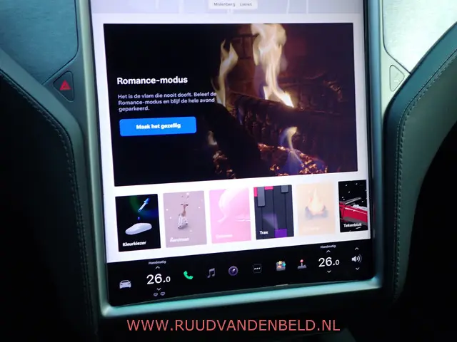 Tesla Model S LONG RANGE PLUS !! RAVEN 2020 Elektrisch 28