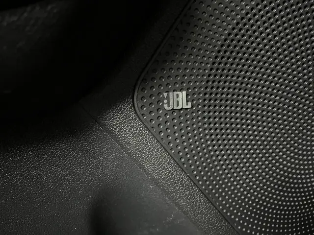 Kia e-Niro ExecutiveLine 64 kWh 2020 Elektrisch 35