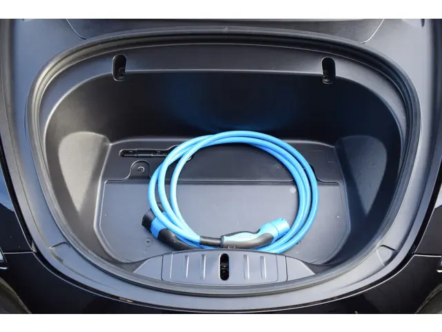 Tesla Model 3 Standard RWD Plus 60kWh 2020 Elektrisch 23