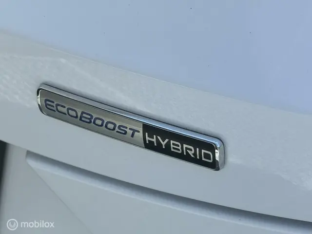 Ford Puma 1.0 EcoBoost Hybrid 2022 Benzine 25