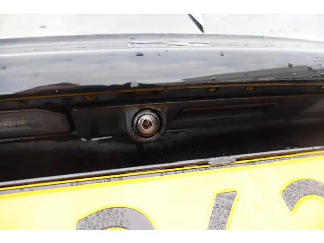 Tesla Model 3 Long Range RWD 75 kWh 2019 Elektrisch 17