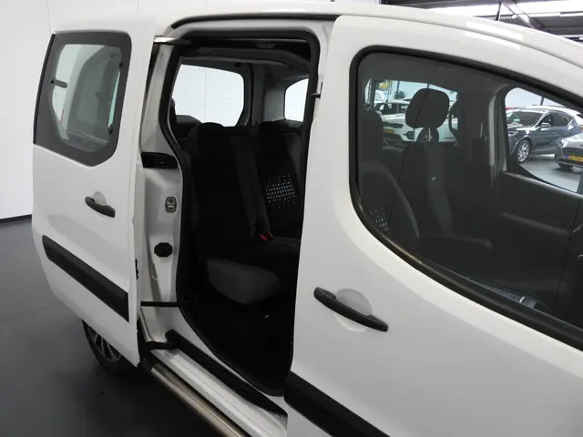 Citroën Berlingo 1.6 BlueHDi 4x4 Dangel 2016 Diesel 22