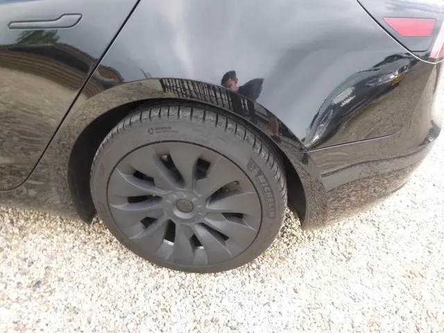 Tesla Model 3 Standard RWD Plus 60 kWh 2019 Elektrisch 10
