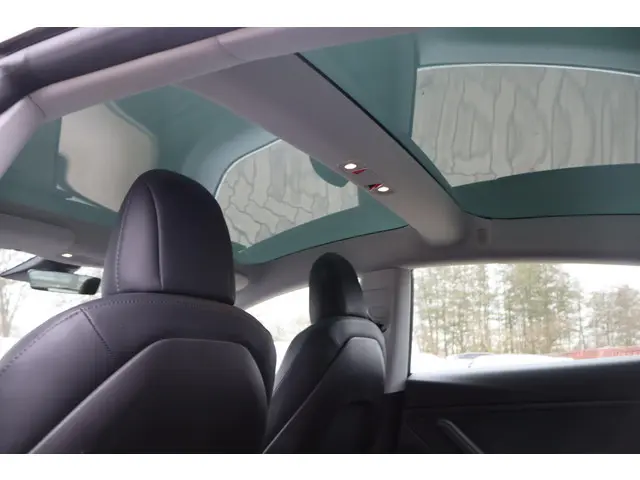 Tesla Model 3 Long Range AWD 75 kWh 2019 Elektrisch 17