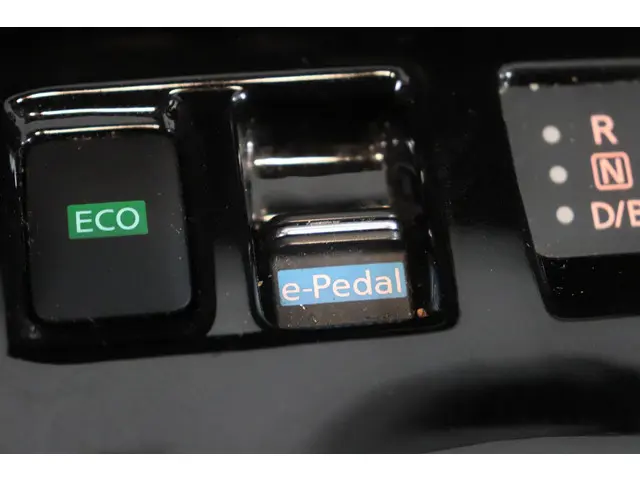 Nissan Leaf Tekna 40 kWh 2021 Elektrisch 21