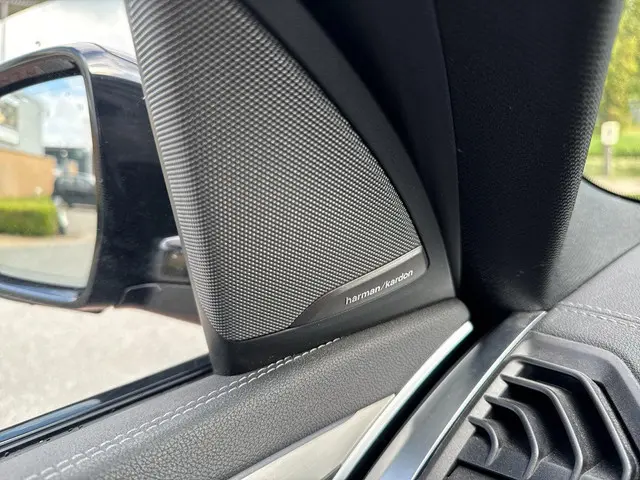 BMW iX3 High Executive 80 kWh 2021 Elektrisch 22