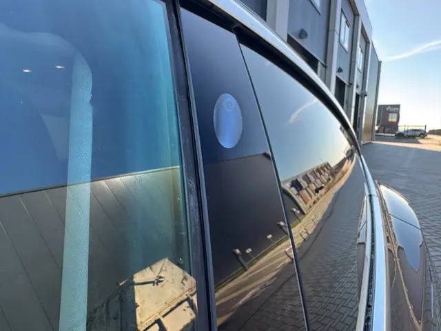 Tesla Model 3 Standard RWD Plus 60 kWh 2019 Elektrisch 5