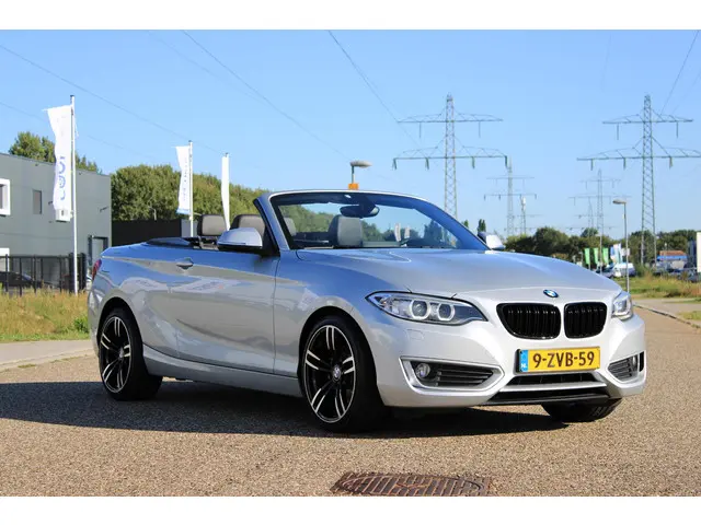BMW 2 Serie Cabrio 220i 2015 Benzine 4
