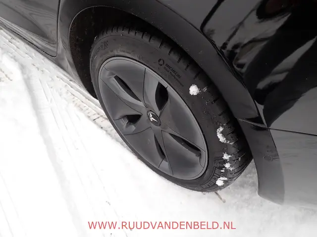 Tesla Model 3 SR+ 2020 Elektrisch 21