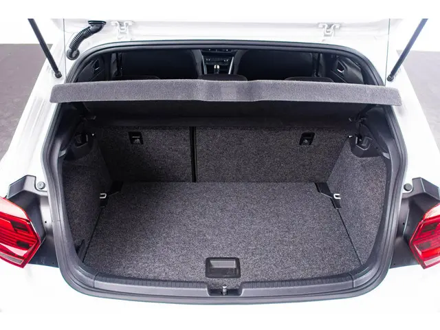 Volkswagen Polo 2.0 TSI GTI 2019 Benzine 50