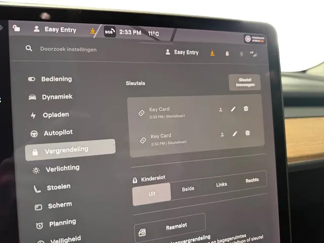 Tesla Model 3 Long Range AWD 75 kWh 2019 Elektrisch 13