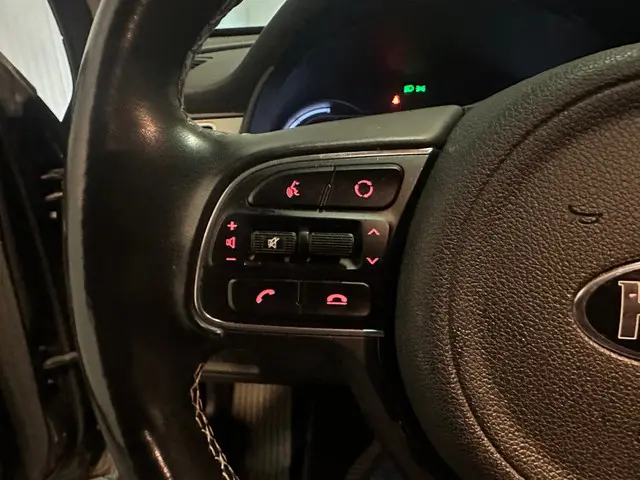 Kia e-Niro ExecutiveLine 64 kWh 2020 Elektrisch 13