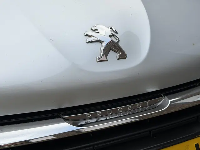 Peugeot 208 1.2 PureTech Blue Lion 2018 Benzine 33