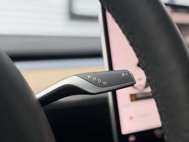 Tesla Model 3 Long Range AWD 75 kWh 2021 Elektrisch 29
