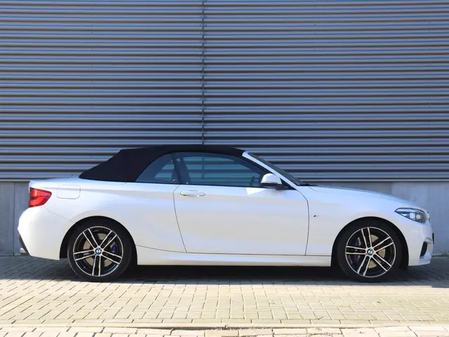 BMW 2 Serie Cabrio 220i 2019 Benzine 8
