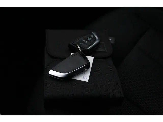 BMW X4 xDrive20i Executive Edition 2020 Benzine 43