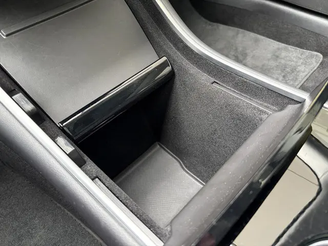 Tesla Model 3 Standard RWD Plus 60 kWh 2020 Elektrisch 34