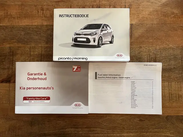 Kia Picanto 1.0 CVVT EconomyPlusLine 2019 Benzine 24