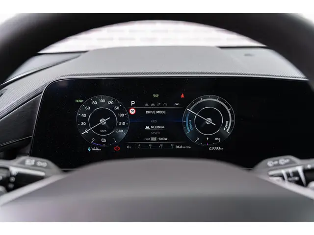 Kia Niro EV DynamicLine 64.8 kWh 2023 Elektrisch 24