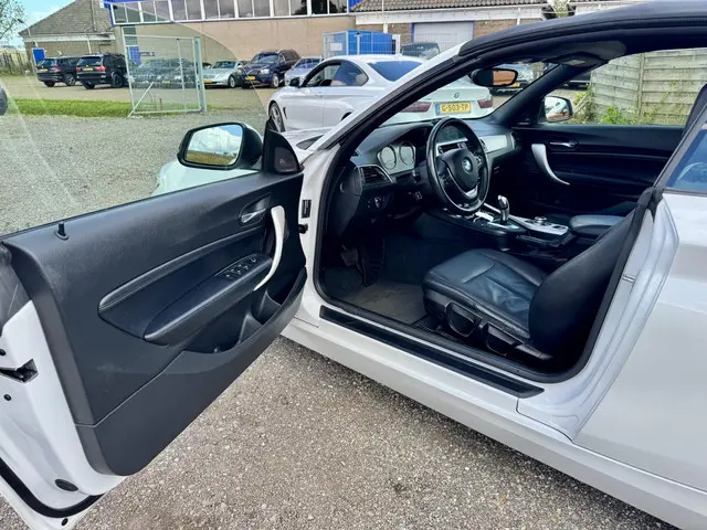 BMW 2 Serie Cabrio 220i Executive 2017 Benzine 16