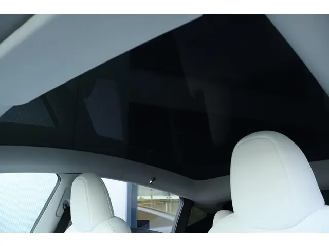 Tesla Model Y Long Range AWD 75 kWh 2023 Elektrisch 15
