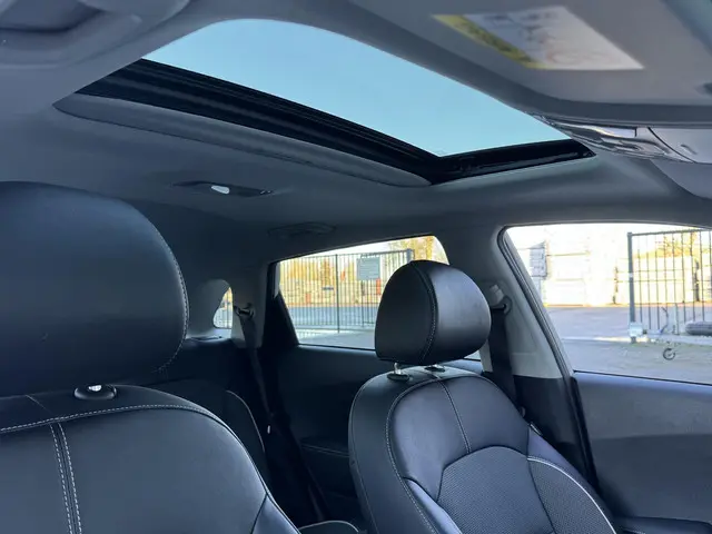 Kia e-Niro DYNAMICPLUSLINE 64 KWH 2021 Elektrisch 11