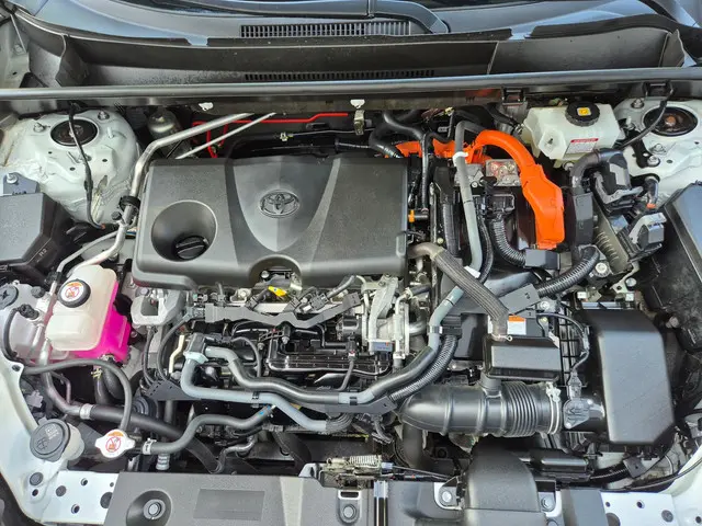 Toyota RAV4 2.5 Hybrid AWD Bi-Tone 2020 Hybride Benzine 56