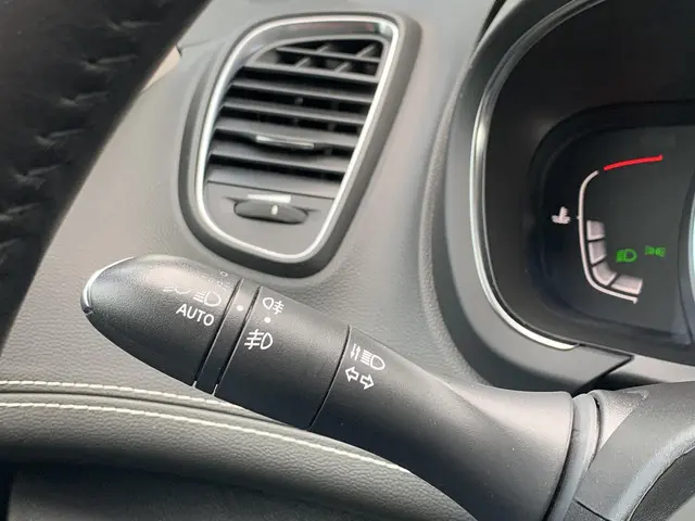 Renault Scénic 1.3 TCe Intens 2018 Benzine 30