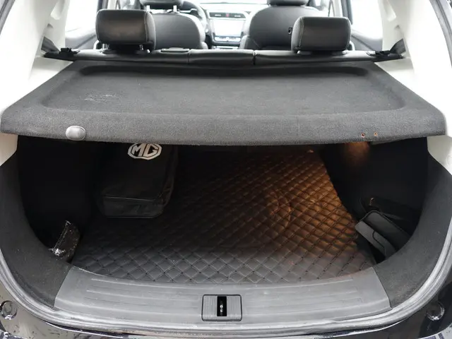 MG ZS-EV Luxury 45 kWh Aut- 2020 Elektrisch 28