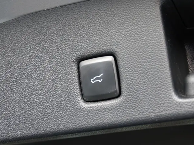 Ford Kuga 2.5 PHEV ST-Line X 2023 Hybride Benzine 9