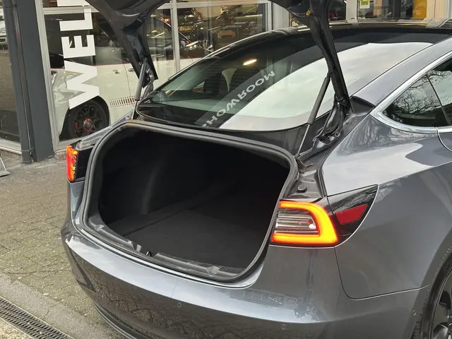 Tesla Model 3 Long Range AWD 75 kWh 2019 Elektrisch 5
