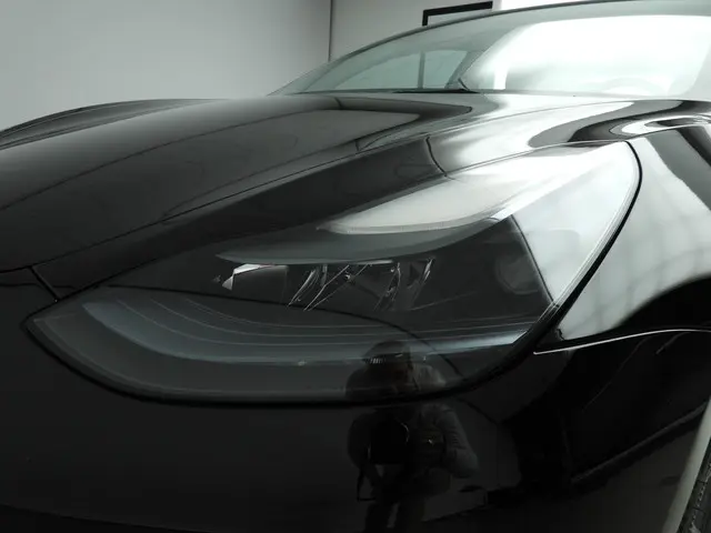 Tesla Model 3 Standard RWD Plus 60 kWh 2023 Elektrisch 28