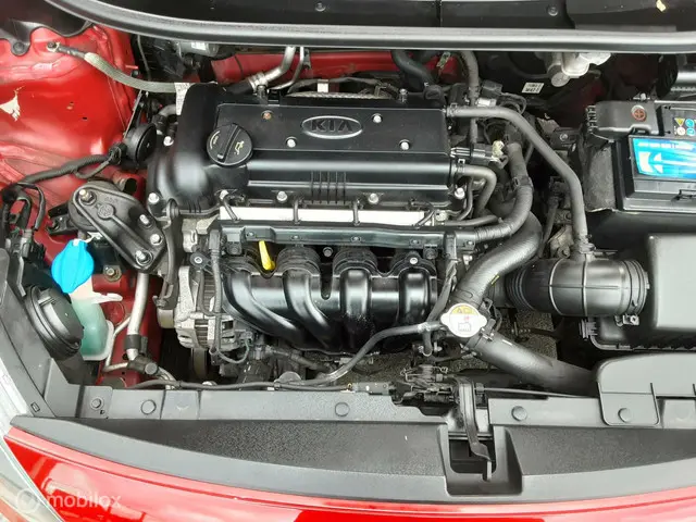 Kia Rio 1.4 CVVT ExecutiveLine 2014 Benzine 20