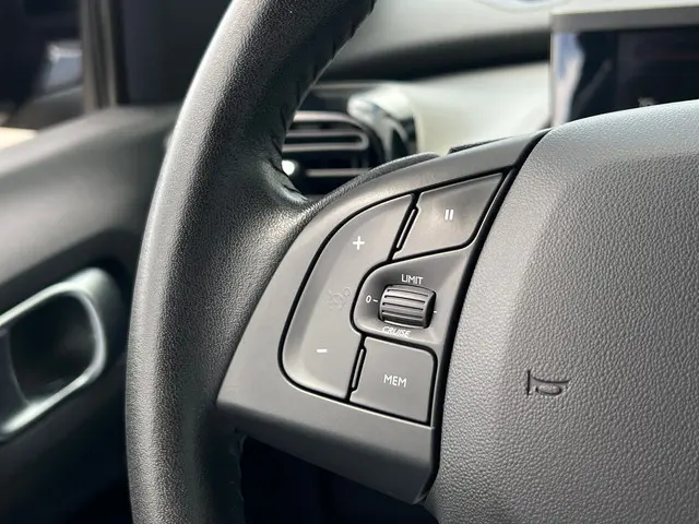 Citroën C4 Cactus 1.2 PureTech Origins 2019 Benzine 17