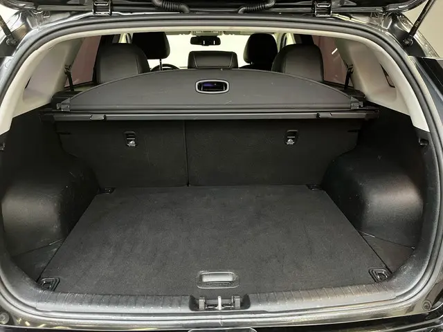 Kia e-Niro DynamicLine 64 kWh 2020 Elektrisch 30