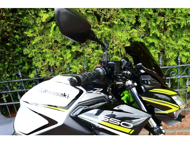 Kawasaki Z650 ABS 50kw 2020 Benzine 13