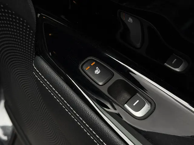Kia e-Niro ExecutiveLine 64 kWh 2020 Elektrisch 16