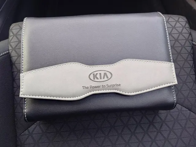 Kia Ceed 1.0 T-GDi DynamicLine 1e Eigenaar 2019 Benzine 20