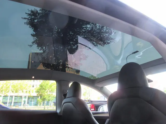 Tesla Model Y Long Range AWD 75 kWh 2022 Elektrisch 13