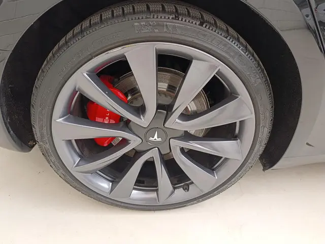 Tesla Model 3 Performance AWD 75 kWh 2020 Elektrisch 17