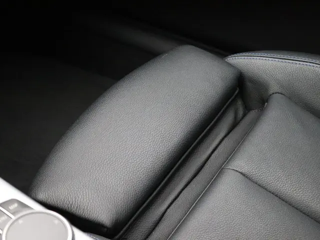 BMW 3 Serie Touring 318i 2019 Benzine 26