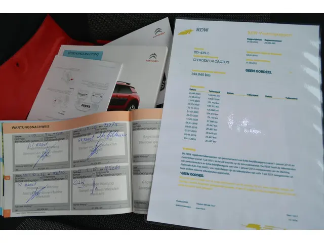 Citroën C4 Cactus 1.6 BlueHDi Business Plus 2017 Diesel 14