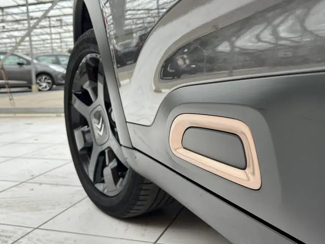 Citroën C4 Cactus PureTech 110 Origins 2020 Benzine 30