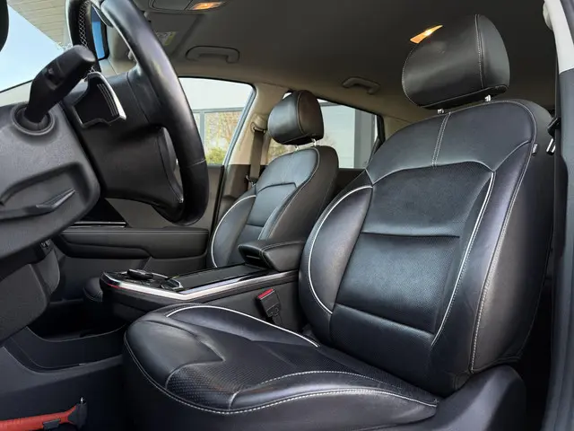 Kia e-Niro Aut. ExecutiveLine 64kWh 2020 Elektrisch 11